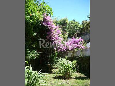 Apartment Garden Isle of São Miguel Lagoa (R.A.A) Apartment