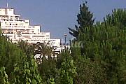 3 Apartments for 2-12 people only 50 meters from the beach Algarve-Faro