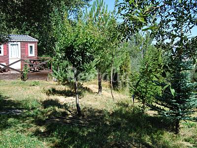 House Garden Granada Monachil House
