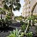 Apartment Garden Tenerife Adeje Apartment