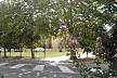 House for rent only 600 meters from the beach Ferrara