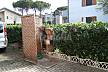 House for rent only 300 meters from the beach Ravenna