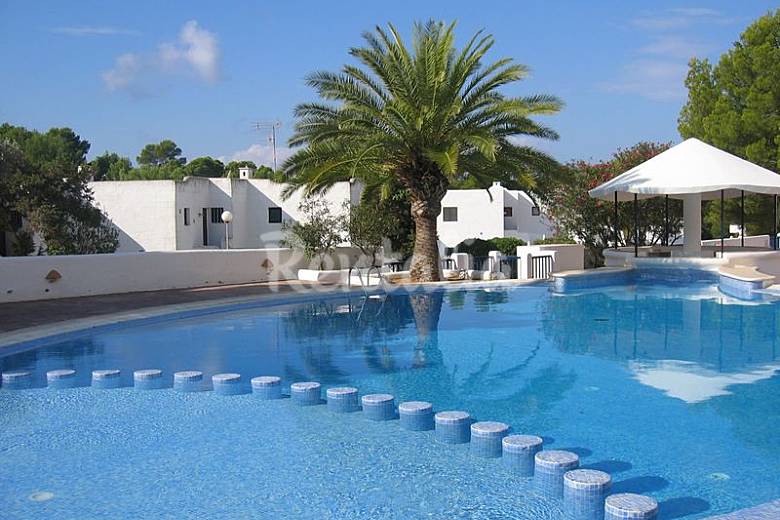 IBIZA SAN JOSE ibiza san jose: