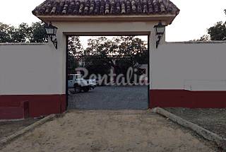 Casas en alquiler sierra de sevilla