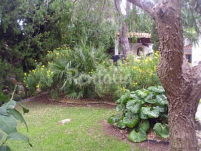 Villa Garden Alicante Dénia Villa