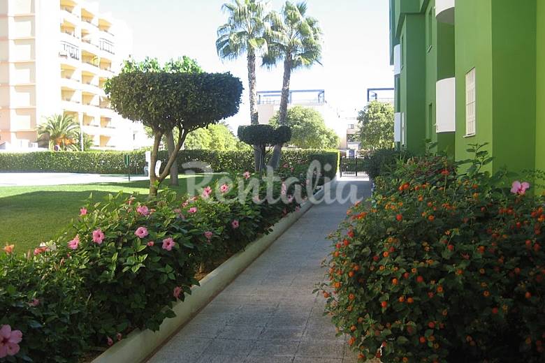 Apartamento xeraco rentalia