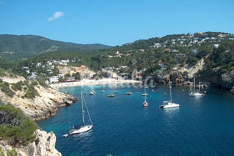 IBIZA SAN JOSE ibiza san jose: