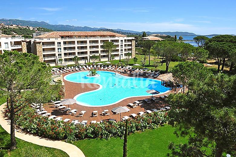 Appartamento Corsica Porto Vecchio appartamento per 6 persone corsica porto vecchio Appartamento Corsica Porto Vecchio appartamento per 6 persone corsica porto vecchio