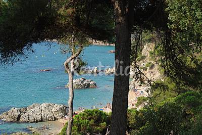 Girona beaches - The best beaches. Holiday rentals beach Girona