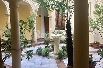 El reposo de Los Leones Córdoba