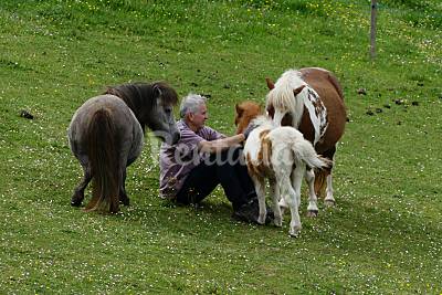 casa rural a 6,5km del pueblo, en el monte Navarra