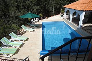 Moradia para alugar com 2 apartamentos e pis...