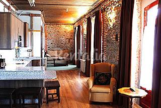 Preciosos 10 apartamentos Rusticos totalment...