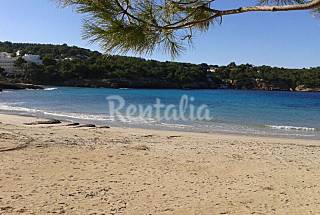 Apartamento en alquiler a 100 m de la playa