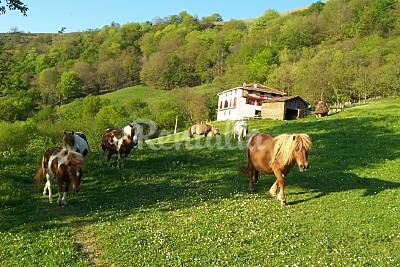 casa rural aislada a 6,5km del pueblo, con ponis Navarra