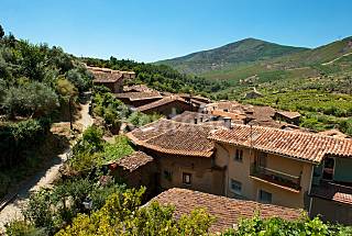 Aptos. Rurales Casa Manadero