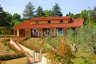 Appartamento in affitto con piscina