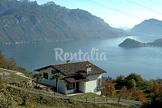 Appartamento in affitto con giardino privato