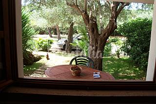 Appartamenti tra gli ulivi /mirto/oleandri