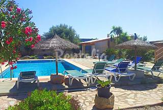 Villa in affitto a 9 km dal mare