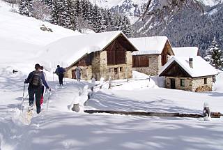 Appartamento in affitto a Peio Terme Trentino