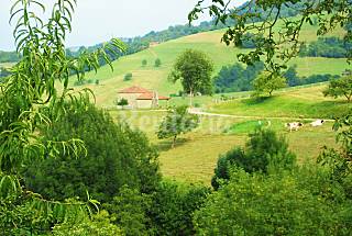 2 Apartamentos de 2 habitaciones en Cangas d...