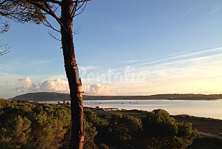 Casa en alquiler a 150 m de la playa