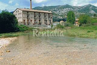 Apartamento de 2 habitaciones en entorno de ...