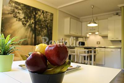 Apartamento centrico con plaza de garaje VUT 55 AS Asturias