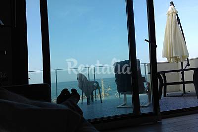 Appartamento con 2 stanze in prima linea di spiaggia Pesaro e Urbino