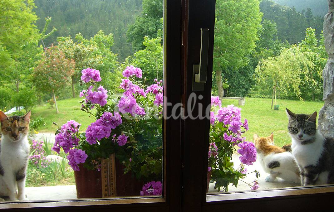Basque typical country house.Fantastic views.Wifi. Guipúzcoa