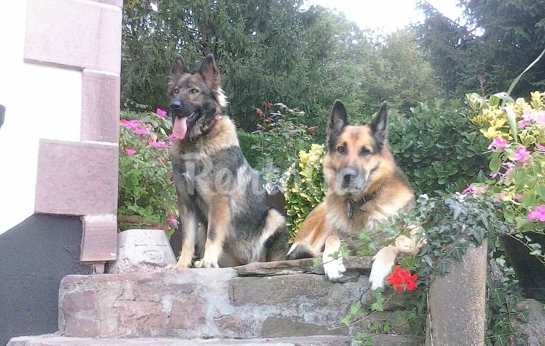 Apartamento rural de 1 habitación en Elizondo Navarra